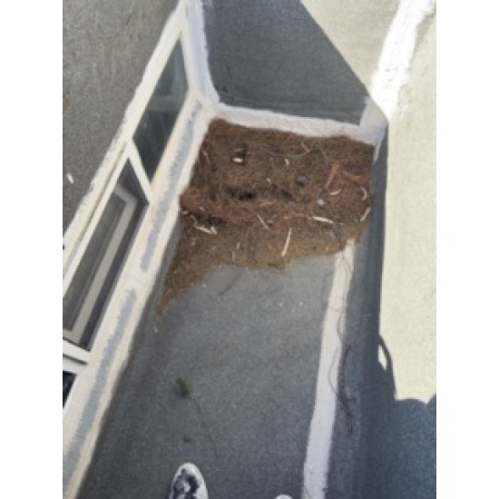 ΕΠΙΣΚΕΥΗ, ΜΟΝΩΣΗ ΚΑΙ ΔΗΜΙΟΥΡΓΙΑ ΣΚΕΠΑΣΤΡΟΥ ΓΙΑ ΦΩΤΑΓΩΓΟΥΣ